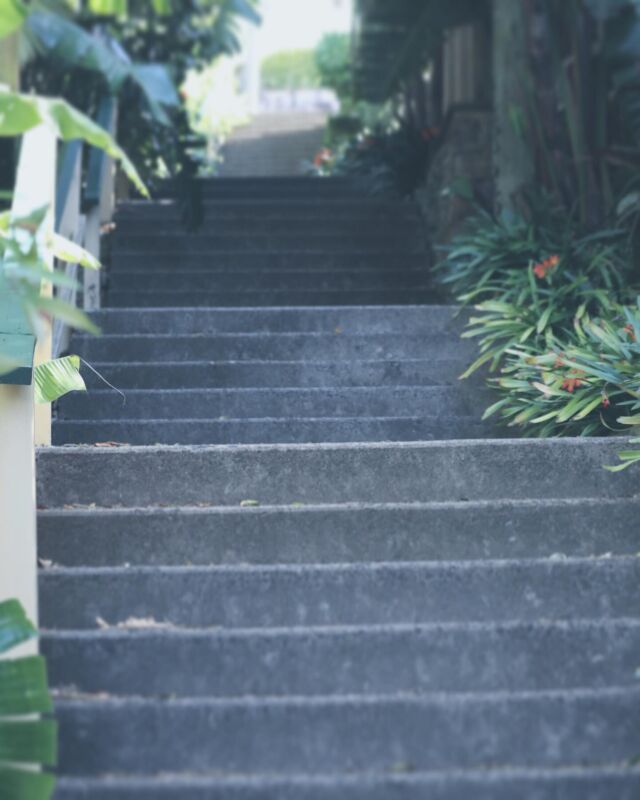 Instagram 投稿 17898246219060576